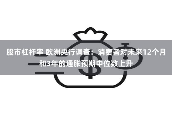 股市杠杆率 欧洲央行调查：消费者对未来12个月和3年的通胀预期中位数上升