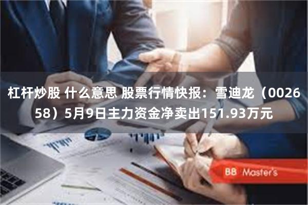 杠杆炒股 什么意思 股票行情快报：雪迪龙（002658）5月9日主力资金净卖出151.93万元