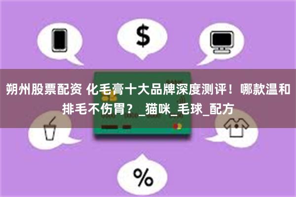 朔州股票配资 化毛膏十大品牌深度测评！哪款温和排毛不伤胃？_猫咪_毛球_配方