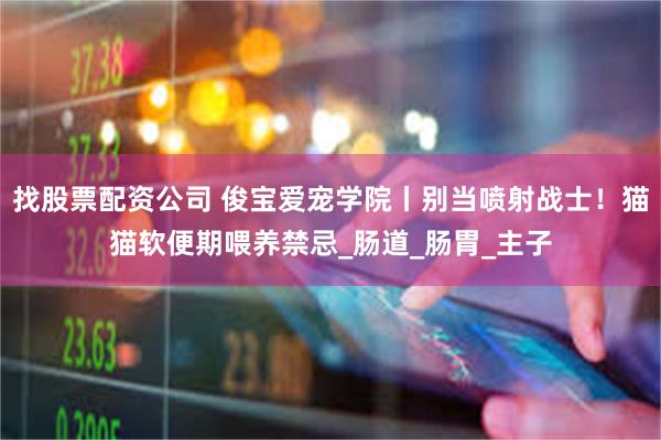 找股票配资公司 俊宝爱宠学院丨别当喷射战士！猫猫软便期喂养禁忌_肠道_肠胃_主子