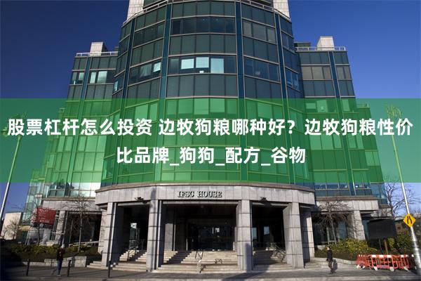 股票杠杆怎么投资 边牧狗粮哪种好？边牧狗粮性价比品牌_狗狗_配方_谷物